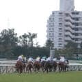 【中京1R】スマートポーションが快勝 6→13→10人気で3連単878万3430円の大波乱