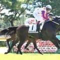 【新潟２Ｒ】「依頼して下さっている方、医学療法士やお医者さん、身内も...」今村聖奈騎手が感謝の１勝　落馬負傷から復帰