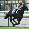 【中京3R新馬戦結果】カラヴァッジオ産駒セイウンマイラヴが逃げ切り勝ち
