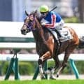 【札幌5R新馬戦結果】ビッグアーサー産駒ジオパークカツキが人気に応えて快勝