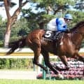 【阿賀野川特別】１秒５も短縮する超レコード！ロードフィレールが逃走Ｖ　戸崎圭太騎手「これがこの馬のリズム」