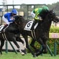 【中京記念予想】コンスタントに使われている馬に分がある一戦！ 休み明けの馬が苦戦する最たる要因とは