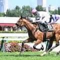 【コスモス賞】サトノダイヤモンド産駒・デアグランツがデビュー2連勝