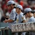 【阪神】連敗で広島戦勝率５割　藤川監督「努力と研究やっていければ」「そういう結果」一問一答