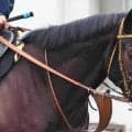 【１６日の注目・札幌１２Ｒ】前走が衝撃の圧勝劇！　３億９０００万円馬ダノンヒストリーが２連勝を狙って登場　