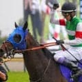 武豊騎手が10年ぶりの海外G1制覇なるか シックスペンスでジャックルマロワ賞に挑む