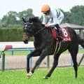【札幌記念予想】秋GI狙う実績馬が始動 持続力問われる札幌2000m