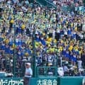 悪質化する甲子園のチア盗撮問題　撮影方法の複雑化、生成AIの登場…悩む引率教員たち