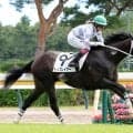 【新潟４Ｒ・２歳新馬】今村聖奈騎手が騎乗の２番人気トップレイアーが初陣Ｖ　母は重賞４勝のスマートレイアー