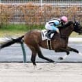 【中京２Ｒ・２歳新馬】パシアンジェンヌが逃げて上がり最速Ｖ　松山弘平騎手「強かったです」