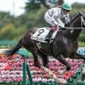【新潟4R新馬戦結果】トップレイアーが抜け出し快勝 母は重賞4勝スマートレイアー
