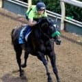 【中京記念】１０か月半の休養明け…１番人気サトノシャイニングは３着　コレット騎手はＪＲＡ重賞初Ｖ逃す