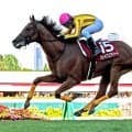 【札幌記念】１８年ぶりコースレコード！　３番人気のシェイクユアハートが重賞３勝目　複勝率８０％の超得意距離で全開
