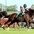 【中京記念】圧巻のコースレコード！ラヴァンダが牡馬を一蹴　岩田望来騎手は２週連続の重賞Ｖ