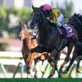 札幌記念 18年ぶりコースレコード