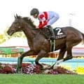 【阿寒湖特別】「僕はつかまっているだけ」単勝１・２倍のダノンヒストリーが衝撃の８馬身差Ｖ　佐々木大輔騎手もビックリ