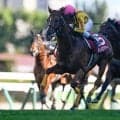 【JRA・WIN5】本日のWIN5は的中35票、配当1354万5140円