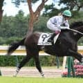 「乗ってからは普段通り」今村聖奈騎手もホッ　良血トップレイアーが余力十分に抜け出して初陣Ｖ