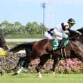 【中京記念・レースメモ】ラヴァンダを勝利に導いた岩田望来騎手、当レースは５回目の騎乗で初Ｖ
