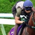 【キーンランドＣ・山下の特注馬】ベストの条件！パンジャタワーが連覇で貫禄の違いを見せる　