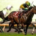 【キーンランドC見どころ】実績は他馬を上回るパンジャタワー