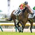 【新潟2歳S見どころ】素質非凡のシャンデヴァーグが重賞を制する