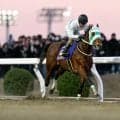 【川崎・スパーキングサマーC枠順】真夏のマイル重賞 重賞5勝のアランバローズは8枠11番