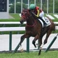 【新潟2歳S想定騎手】インカルナータは坂井瑠星騎手、レッチュベルクは田辺裕信騎手