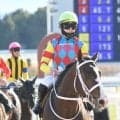【先週のJRA抹消馬】阪急杯2年連続2着のアサカラキング、平地障害の双方で活躍したオールザワールドなど