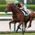 【新潟2歳S】エフフォーリア産駒が重賞初制覇なるか インカルナータが無敗戴冠狙う
