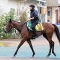 【新潟２歳Ｓ】シャンデヴァーグ２連勝で重賞Ｖへ　津村明秀騎手「落ち着きがあって雰囲気はいい方に来ている」
