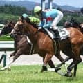 【新潟2歳S展望】関西馬トップチェッカーが重賞制覇を狙う