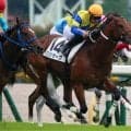 【キーンランドC】ロジユニヴァース産駒がJRA重賞初制覇なるか 3連勝中のロジケープが参戦だ