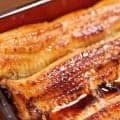 しっかり栄養を摂って夏バテ予防をしよう