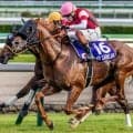 【キーンランドC】レース史上初のGI馬ワンツーなるか ウインカーネリアン＆パンジャタワーが参戦