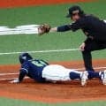 【阪神】初回、けん制判定にリクエスト奏功　無死一、三塁→１死三塁に 村上頌樹耐えて無失点　