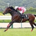 ６年７か月ぶりの重賞制覇「すごすぎる」「絶対買えない」１１番人気９歳馬の衝撃Ｖにネット仰天　盛岡競馬のシンボ