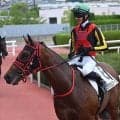 【新潟2歳S予想オッズ】インカルナータが予想1番人気