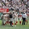 夏甲子園4強決定！近畿勢2校は5年ぶり、関東勢は4年連続で、2校は9年ぶり