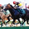 【キーンランドC展望】GI馬パンジャタワーが連覇へ