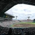 甲子園の客席に大物がキター！いかついサングラス姿ｗネットに目撃情報「来場されている」「扇風機が小さく見えます」興奮の白鵬翔さん