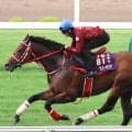 ダート王者フォーエバーヤングが“異例”の芝コースで追い！　函館で迫力満点の動き　坂井瑠星騎手「初めてと思えないぐらいしっかり走れていた」