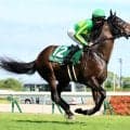 【注目馬動向】中京記念３着のサトノシャイニングは毎日王冠を予定　小倉記念２着のジョバンニはチャレンジＣへ