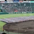 準決勝は完売で超満員必至！ 智弁和歌山vs横浜、天理vs健大高崎のビッグカード激突【26年夏甲子園】