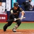 【阪神】ドラ２谷端将伍、２打席目でプロ初犠打成功も…後続凡退で先制点につながらず