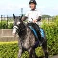 【注目馬動向】アドマイヤテラは凱旋門賞へ向け９月６日に出国　友道調教師「レース後も問題はありません」
