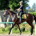 【新潟２歳Ｓ】格上挑戦のスイートアリッサムは良化をアピール　大和田調教師「未勝利なので、気楽にいけると思う」
