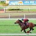 フォーエバーヤングが芝で初の追い切り、「初めてと思えないぐらい…」坂井瑠星騎手も驚く１０秒８