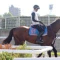 復活の兆し見せたばかり…昨年のダート２冠馬ナチュラルライズが右前浅屈腱炎を発症　ＪＲＡが発表