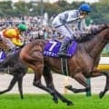 イトコに名馬ドウデュース サンクサンスがデビュー勝ちなるか